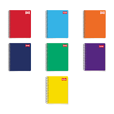 Cuaderno profesional rayado 100h marca Scribe
